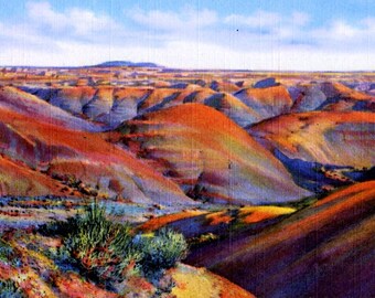 Painted Desert, AZ Vintage Linen Postcard