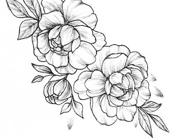 Botanical flowers A5 drawing Inktober