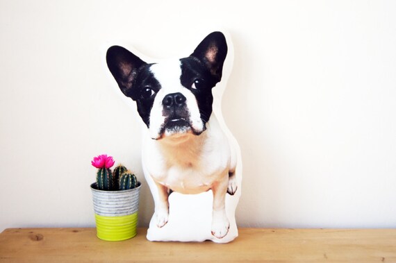 frenchie dog pillow