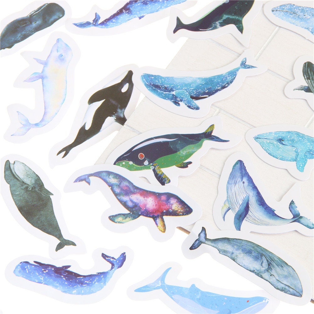 15 Whale Planner Stickers Bullet Journal Scrapbooking