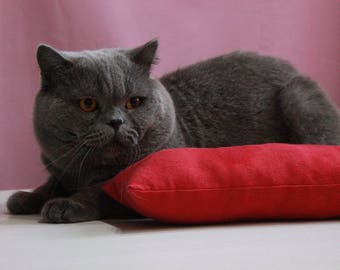 Cat Kicker Toy made with organic catnip