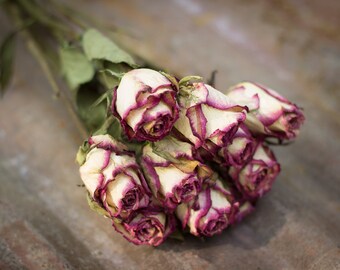 Dried Roses, Plum Roses, Cream Color Roses, Dried Flowers, Stemmed Roses, Dried Rose Bunch, Everlastings, Craft Roses, Long Stemmed Roses
