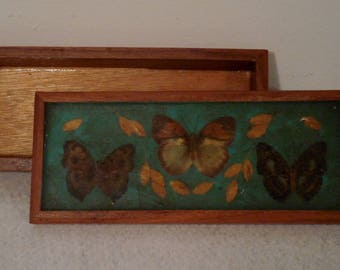 wood box with lid, small wood box, wooden box, butterfly box, wood keepsake box, wood trinket box, vintage wood box, treasure box vintage
