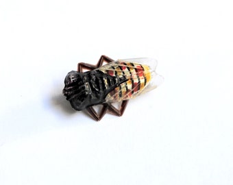 Antique French Celluloid Brooch