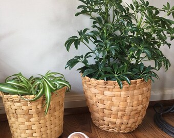 Palm Leaf Baskets - Natural Fiber Baskets - Vintage Woven Baskets