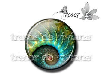 PA436 manual glasses Retro, snails, Swirl, spiral cabochons
