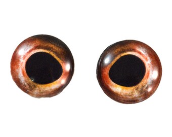 Glass Eyes Taxidermy - 16mm - Glass Eyes - Red Trout
