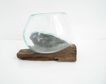 Molten Glass on Driftwood Base-6"x 4.5"-Air Plant Terrarium-Fish Bowl-Eco Planter-Hand Blown Terrarium Glass-Driftwood Decor-Unique Gifts