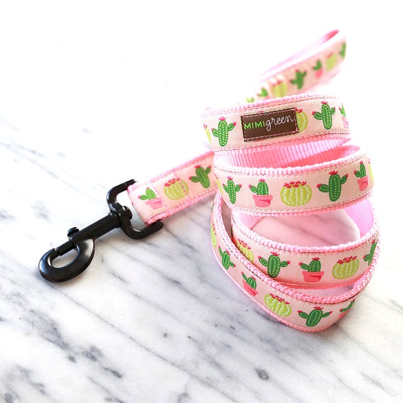 Desert Cactus Dog Leash