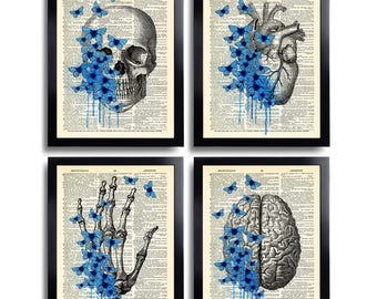Anatomical Set Anatomy Print Set of 4 Medical Wall Art Dictionary Art Prints Gifts Anatomical Gift Set of Posters Vintage Anatomy Skull 629