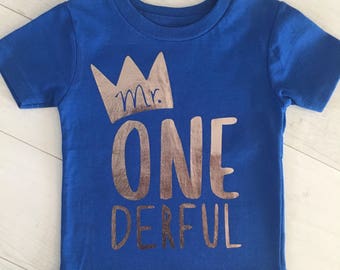 Customizable Mr Onederful Shirt (lots of different color combinations available!), Mr. Onederful shirt, Mr Onederful Birthday Shirt