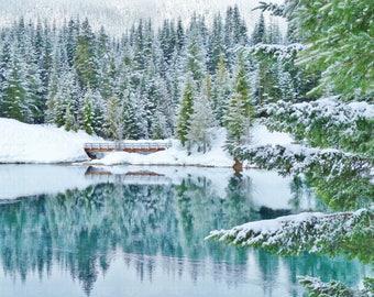 Stunning Winter Scenery Alpine Lake Wooden Bridge Snowy Ground & Evergreen Trees Reflected on Water 8 X 10 Glossy Washington State Nature