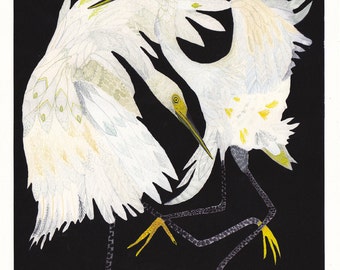 Dancing Egrets- Archival Print