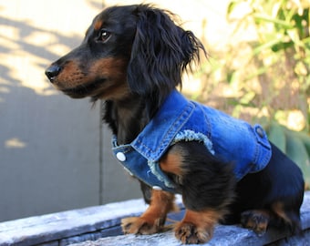 Denim Dog Jacket Vest Distressed Sleeveless Designer Raw Frayed Sleeves Pet Fashion Accessories Shirt Apparel Clothing by Pablo & Co
