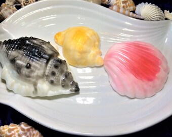 Sea Soap,Undersea World Soap (Part 2), Ocean Soap,Seashells Soap