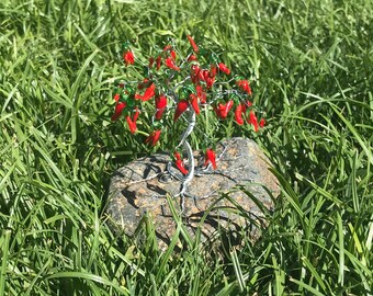 Chili Pepper Gem Tree