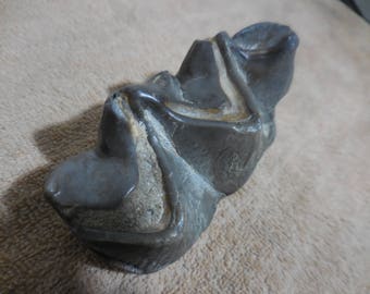 Titanothee lower rear molar