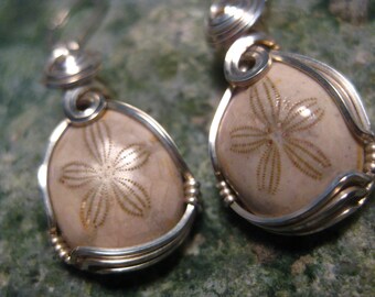 Fossil Sea Urchin (Echinoid) Earrings in Sterling Silver