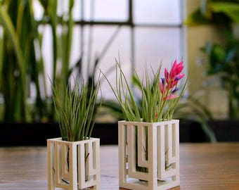 Unique Breathing "Knight" Air Plant Holder Air Plant Container Air Plant Vase