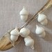 6 Vintage celluloid white acorns, 28 mm