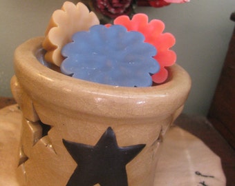 New Scallop Sandalwood Scented Tart Wax Melts Blended Soy You Choose 2 4 or 6