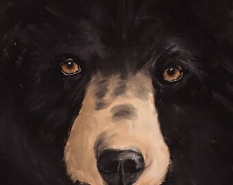 Black Bear Pastel Painting, Matted and Framed 11" x 14"