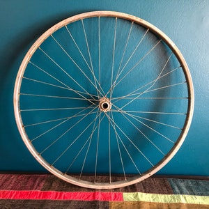 bicycle cover with lock holes