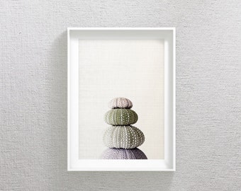 Sea Urchin Shell Print, Marine Wall Art, Sea Urchin Decor For Bathroom, Nautical Print, Sea Urchin Wall Art, Summer Print, Sea Urchin Shell