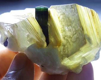 90 Gram Top Quality Terminated & Undamaged Green Cap Tourmaline crystal on Muscovite