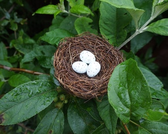 Decorative Birds Nest with Artificial Eggs (5 sizes available)