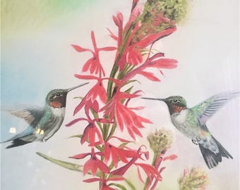 Hummingbirds - Ruby Throated