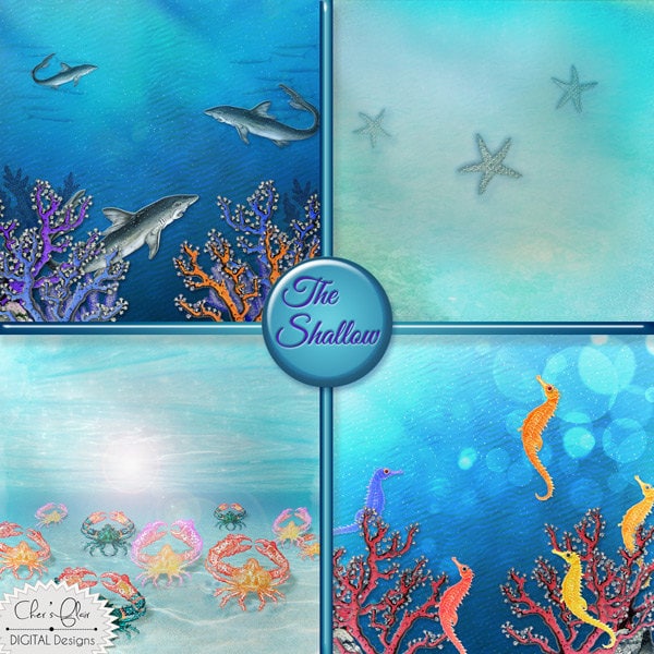 SHALLOW OCEAN PAPER Ocean Scrapbook Paper Starfish Sea