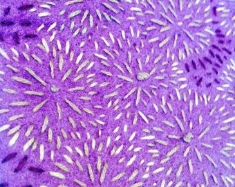 Felt wallet - Hand Embroidered