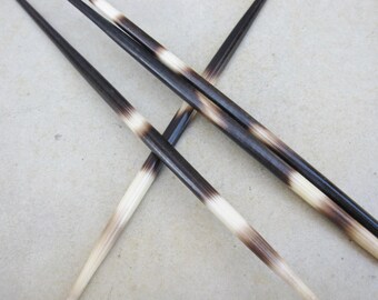 African Porcupine Quills