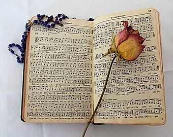 New Edition French Catholic Prayer Book, Old Missel with Pressed 4 Leaf Clover and Bookmark, Old French and Latin Missel Book, Religious