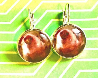 Pig cabochon earrings - 16mm