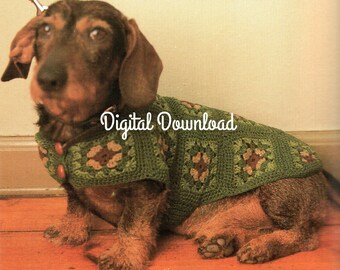 Small Dog Dachshund Sweater, Puppy, Hippie Granny Square, Auggie Doggie, Vintage Crochet Pattern, Quick Easy, Digital Download, Instant PDF