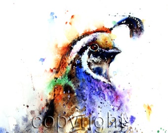 QUAIL Watercolor Bird Print, Quail Art Painting by Dean Crouser