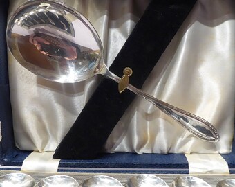 Vintage Boxed Set of Six Silver Plated Dessert Spoons with Matching Serving Spoon, Trifle Spoons, Pudding Spoons