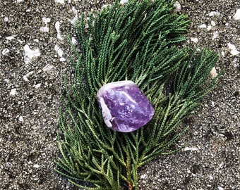 Amethyst (#4) – EXACT crystal shown (1) Reiki Charged
