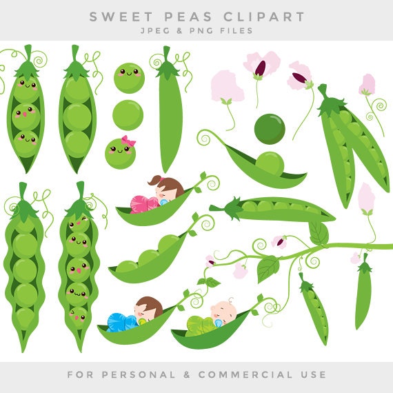 Download Peas in a pod clip art sweet peas clipart baby babies green