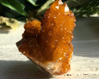 Sunshine Spirit Quartz (Cactus Quartz ) Crystal Cluster