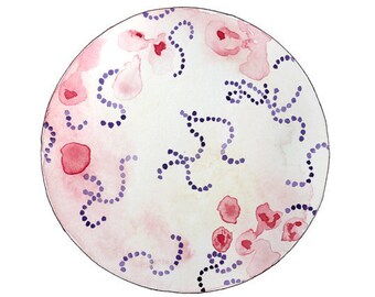 Streptococcus 3, science art, science, watercolor painting, original watercolor, watercolors paintings original, microbes, microbiology
