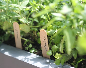 letterpress herb garden marker set, gardener gift, calligraphy, christmas gift, stocking stuffer, gift for her, gift for mom, gift for dad