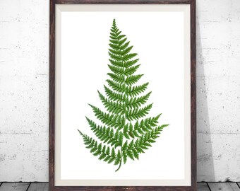 Fern Print, botanical wall art, botanical print, botanical art, vintage botanical, botanical poster, plant wall art, botanical prints