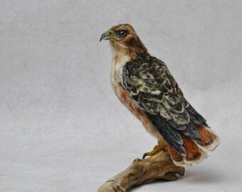 Needle Felted Bird - Needle felted Red Tailed hawk -Wild Bird - Felt bird - Bird Lovers - Bird made to your order