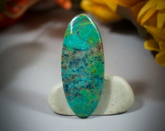 Parrot Wing Chrysocolla Cabochon 40-4916