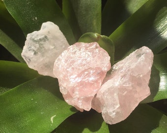 Raw Rose Quartz Chunks (1 inch)