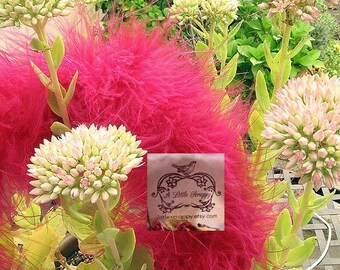 Dark Fuchsia Marabou Boa Feathers