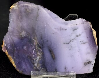 Lovely Polished Burro Creek Dendritic Agate End Cut